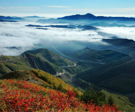 六盘山国家森林公园