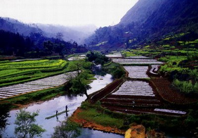 惨遭毁坏