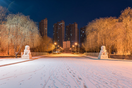 秦皇岛市