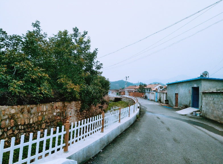 大城子镇乡村公路