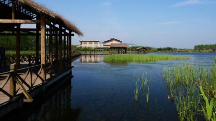 溱湖国家湿地公园