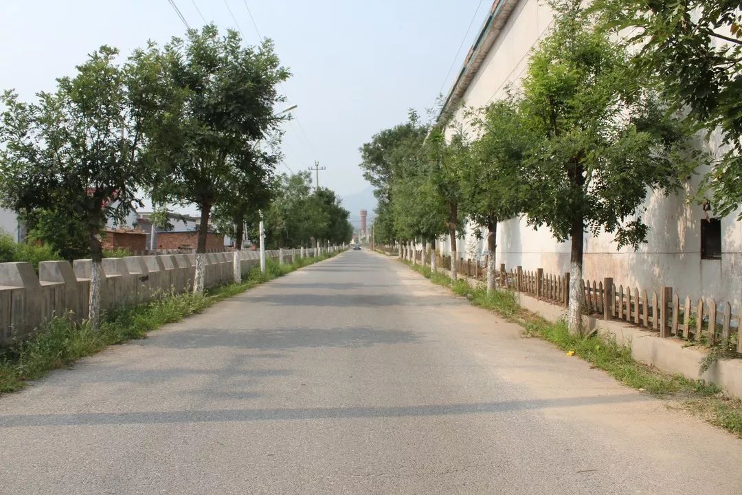 不老屯镇乡村公路