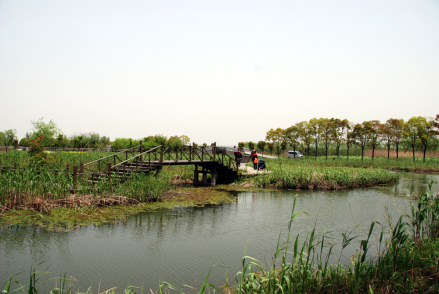 江苏沙家浜国家湿地公园