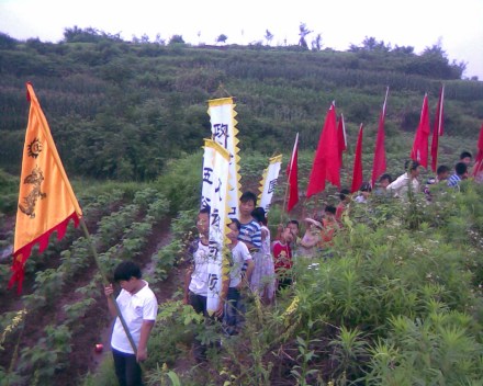 歙县枫树岭的“安苗节” 