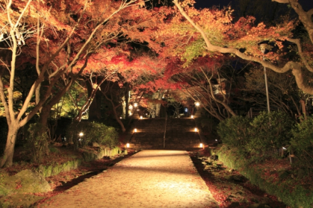 宝满山