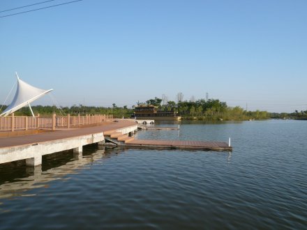 白塘河湿地公园