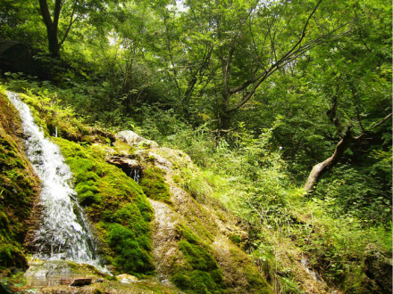 九莲山景区