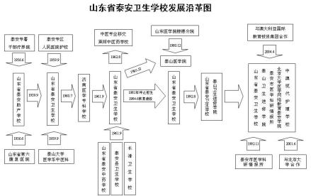 历史沿革