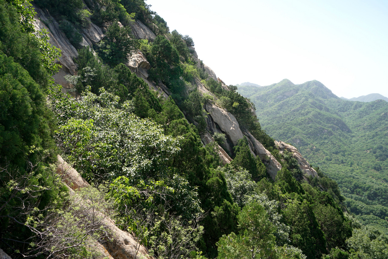 延寿镇地形