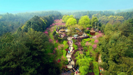 自贡尖山风景区-芬芳桃林