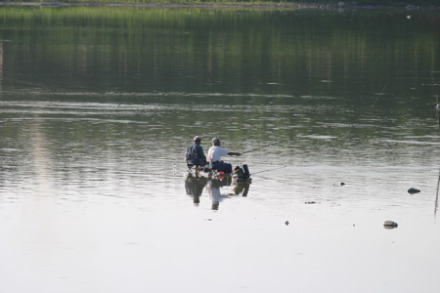 青马湖垂钓