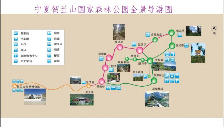 宁夏贺兰山国家森林公园全景导游图