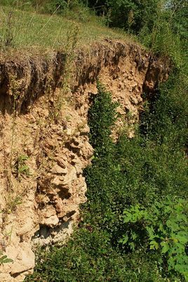 陶家湖遗址