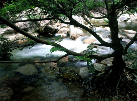 绩溪县风光