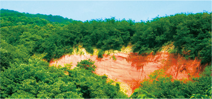 红土岩层 