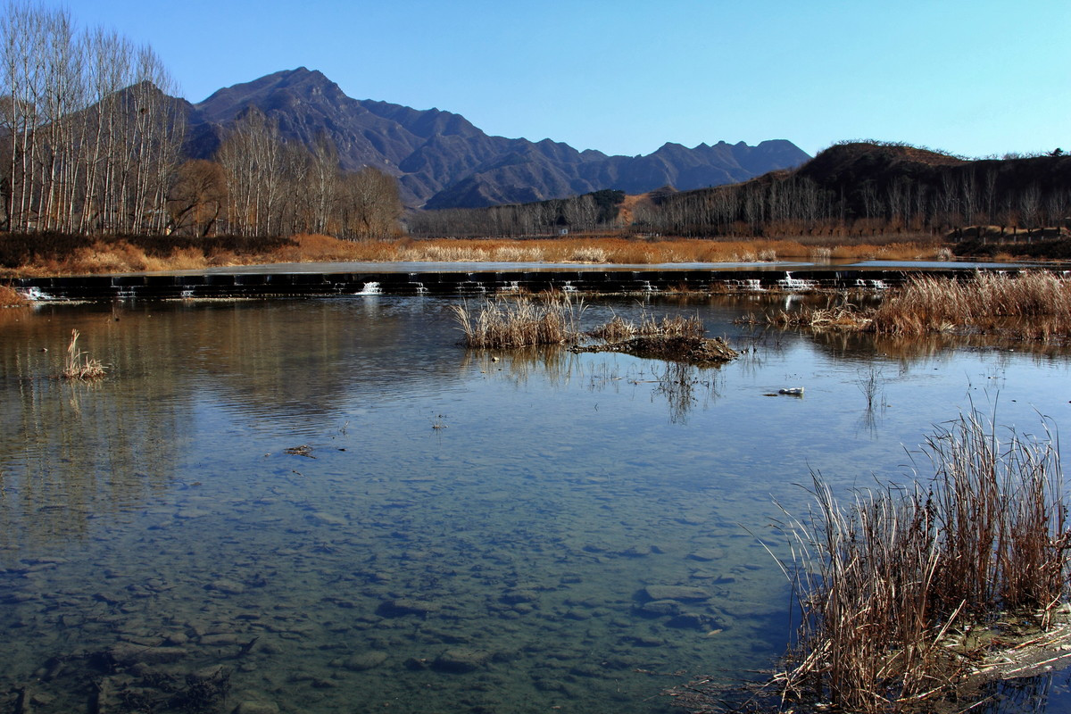 北庄湿地