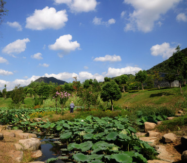 校园风景