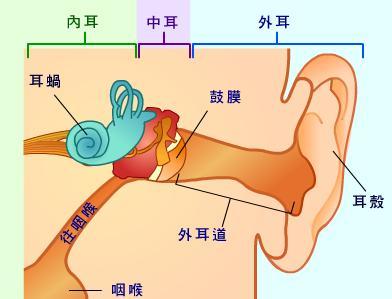 聋哑症的病因