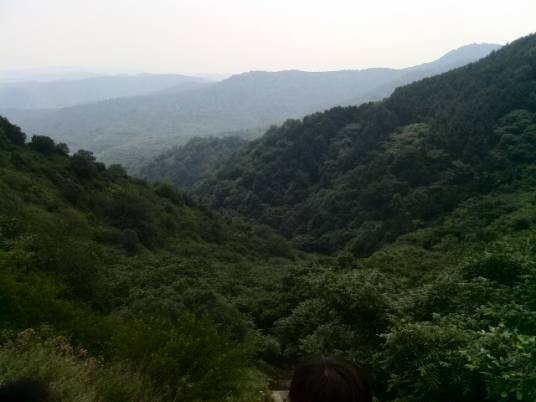 发鸠山