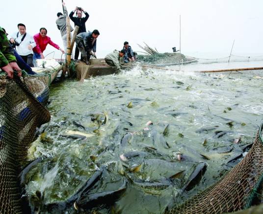 珊珀湖