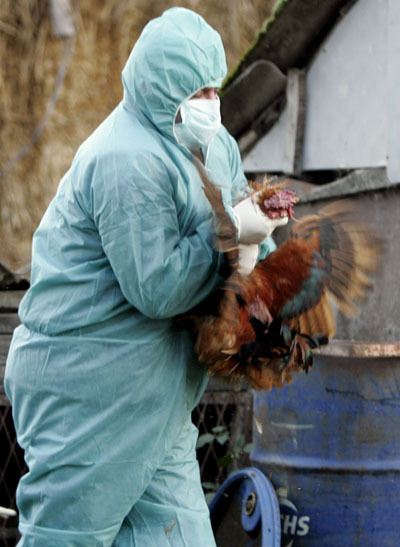 甲型H5N1流感病毒