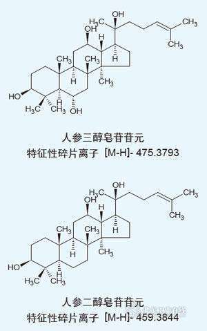 人参的有效成分