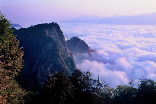 阿里山