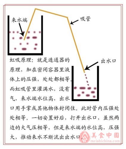 干红葡萄酒