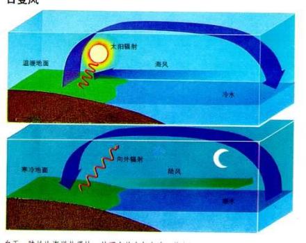 图1 海陆风示意图