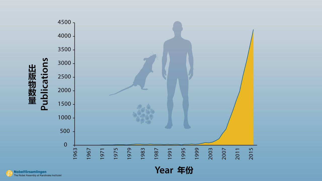 自噬——我们细胞中至关重要的机制