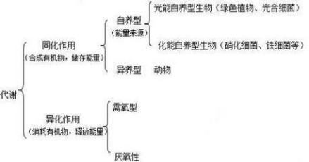 微生物营养类型 