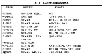 十二经脉与脏腑器官联络图