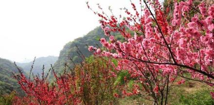 九龙峡自然风光旅游区