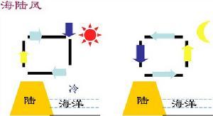 海陆风是热力环流在自然界的具体体现。