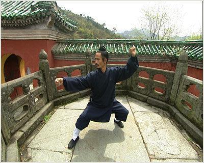 武氏太极拳