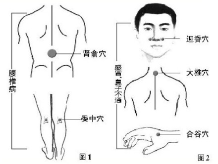 艾灸、按摩保健相关穴位示意图