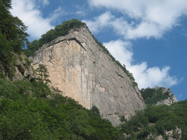 青峰峡森林公园