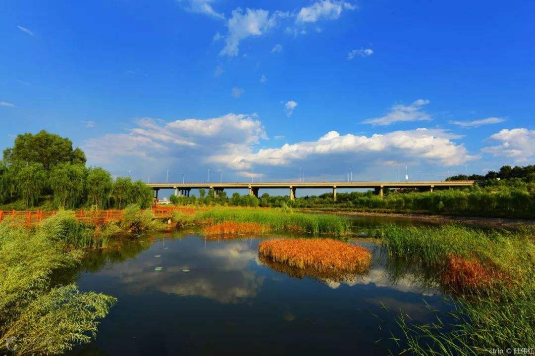 孝河国家湿地公园