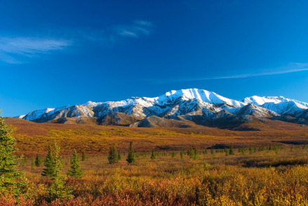 德纳里山