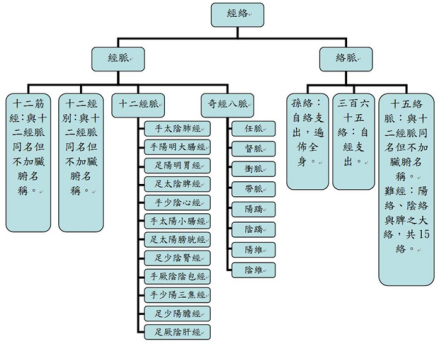 经络图