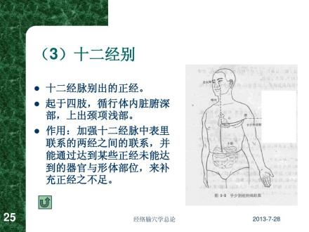 十二经别