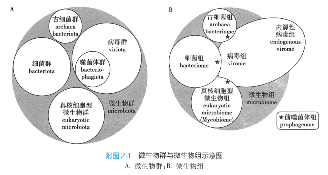 微生物群与微生物组