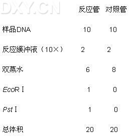 加样品顺序