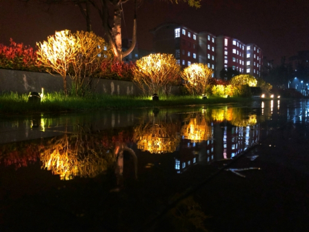 校园夜景