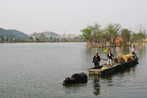 湘湖风景，图5