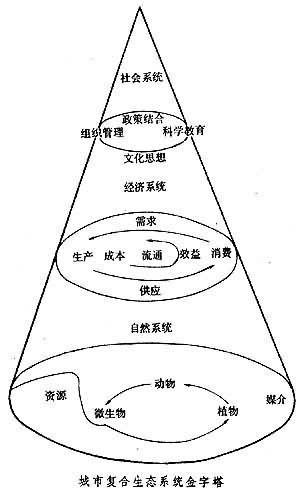 图1城市生态系统组成