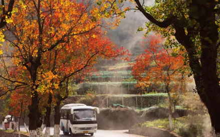 通往神龙谷的公路（秋景）