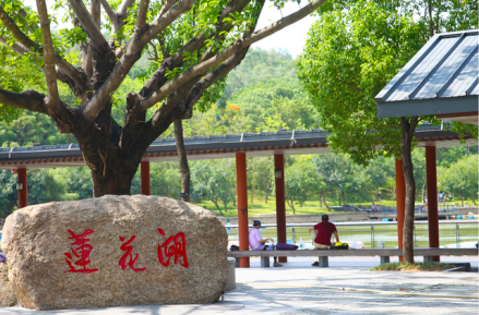 莲花湖