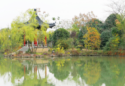 观景区