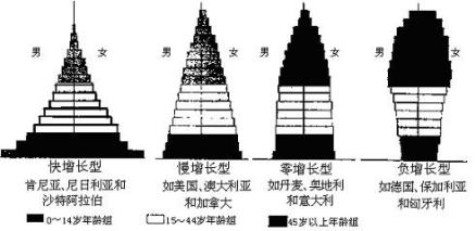 人口年龄结构